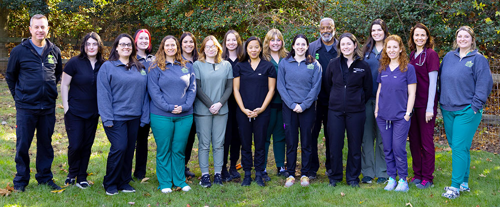 medford veterinary staff